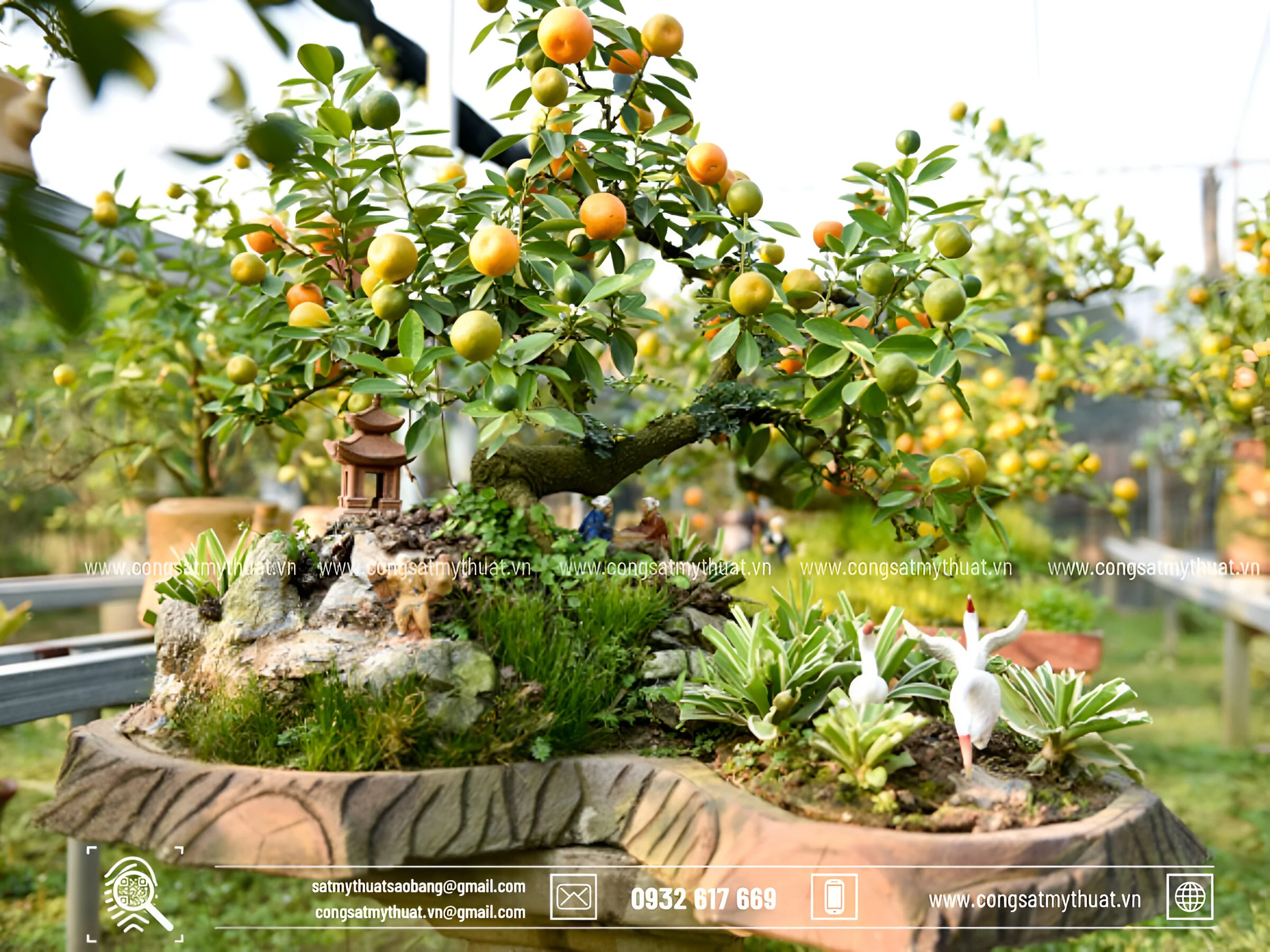 29+ cây cảnh sân vườn biệt thự đẹp sang tốt cho gia chủ nhất Cây trồng biệt thự quen thuộc