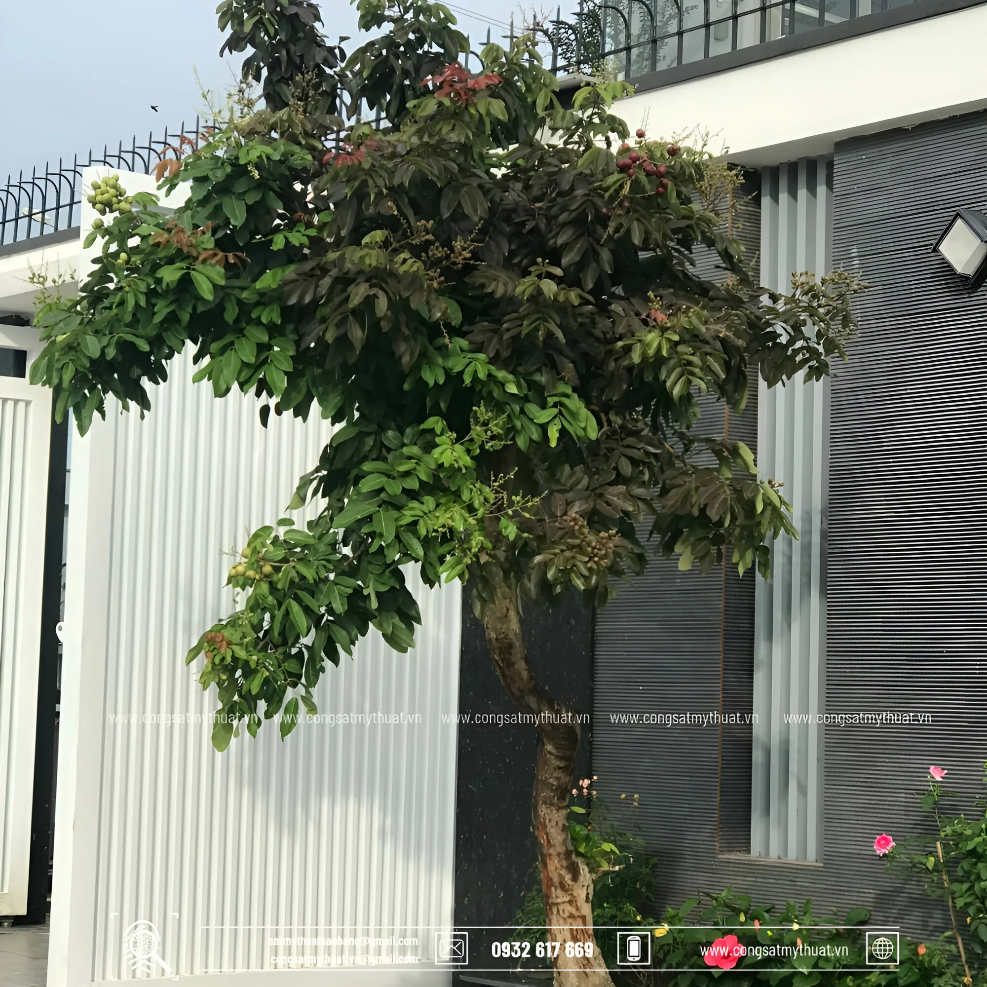 29+ cây cảnh sân vườn biệt thự đẹp sang tốt cho gia chủ nhất Chọn cây trồng sân vườn biệt thự