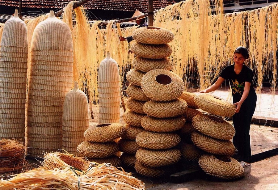 Mây, tre, nứa
